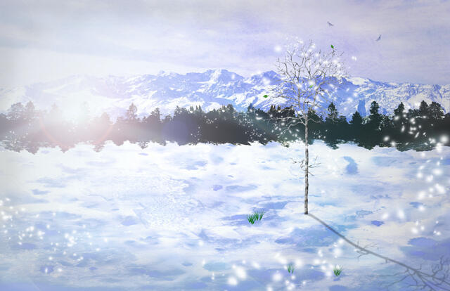 artwork featuring snowy field with pines and mountains in the background, a lonely dead tree in the foreground as the first greens of spring begin to peek through snow. A magical swirl of snowflakes and sparkles flow across the image