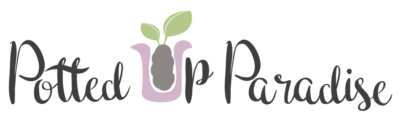 Untitled Potted Up Paradise logo