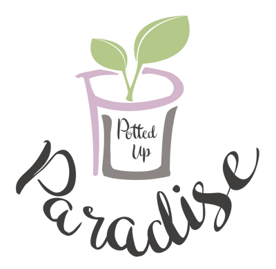 Untitled Potted Up Paradise logo - compact